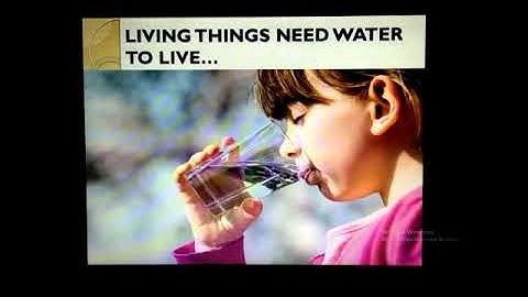 PVI SCIENCE LESSON # 10 Date: 14th May 2020 Topic: Basic Needs of Living Things