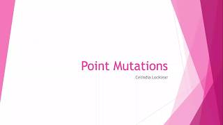 Gn 311 Exam 4-1B Point Mutations