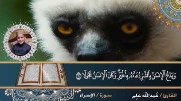 القارئ عبدالله على وقراءه هادئه من سورة الاسراء