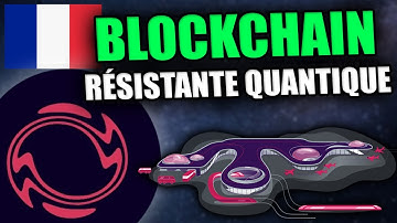 SIMILAIRE À POLKADOT MAIS RÉSISTANTE QUANTIQUE? - Review de Cellframe