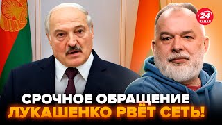 🤯ШЕЙТЕЛЬМАН: Лукашенко ВОРВАЛСЯ с ДИКИМ ОБРАЩЕНИЕМ к Зеленскому! Трамп РАЗЪЯРЕННЫЙ: готовит ЖУТКОЕ