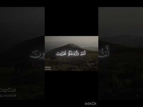 حلوة السورة اسلام اكسبلور اتاك اون تايتن كيميتسو نو يايبا ليفاي شوتو توكيتو ماش نصائح دينيه