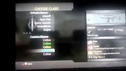 King glitches cod4 hated cotton mod menu