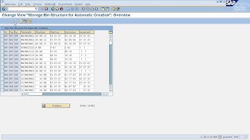 SAP WM - Storage Bins