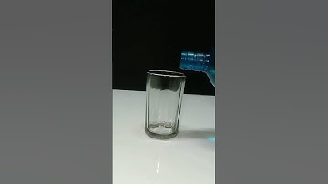 Science Project for School | Easy Science Experiment #shorts