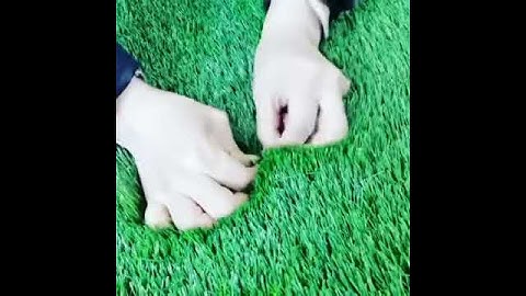 How to test the withdraw force of Artificial grass?