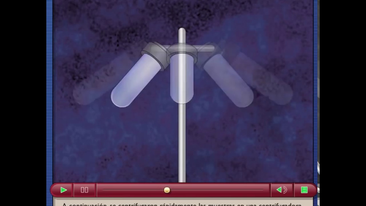 Experimento de Meselson y Stahl YouTube
