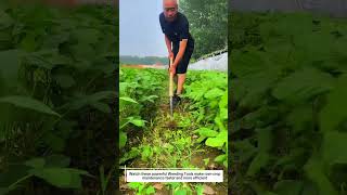 Heavy-Duty Weeding Tools – Wide Blade Hoe Clears 16-Inch Crop Rows 3X Faster