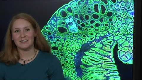 Spatial Expressions: 2018 Image Awards Winner