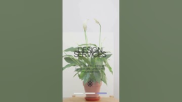 Web Design and Digital Marketing Company   AKLA International #access