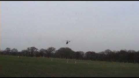 trex 500 loops, flips rolls