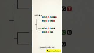 How Clustal Omega Aligns DNA Sequences | Technotonics