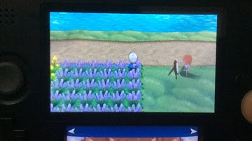 LIVE: Shiny Flabebé after 40 Chains via Pokeradar  | (25 Pokeradar Resets) | Pokemon X