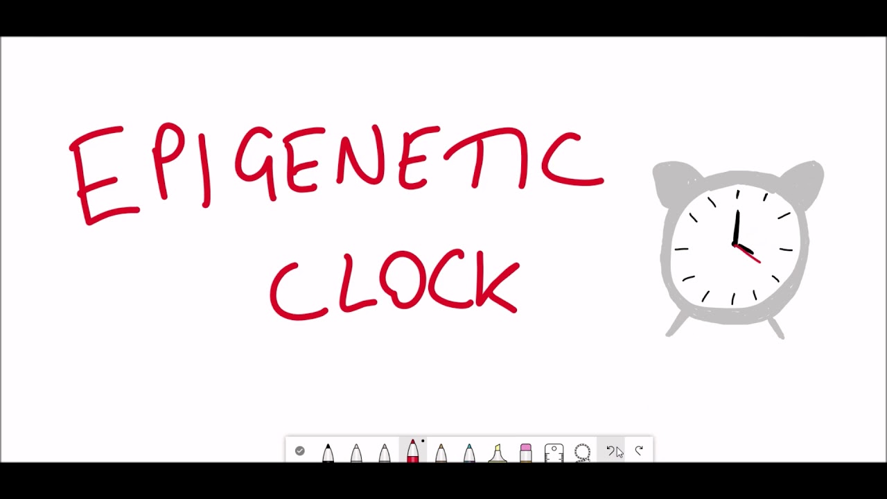 Is epigenetic aging reversible?