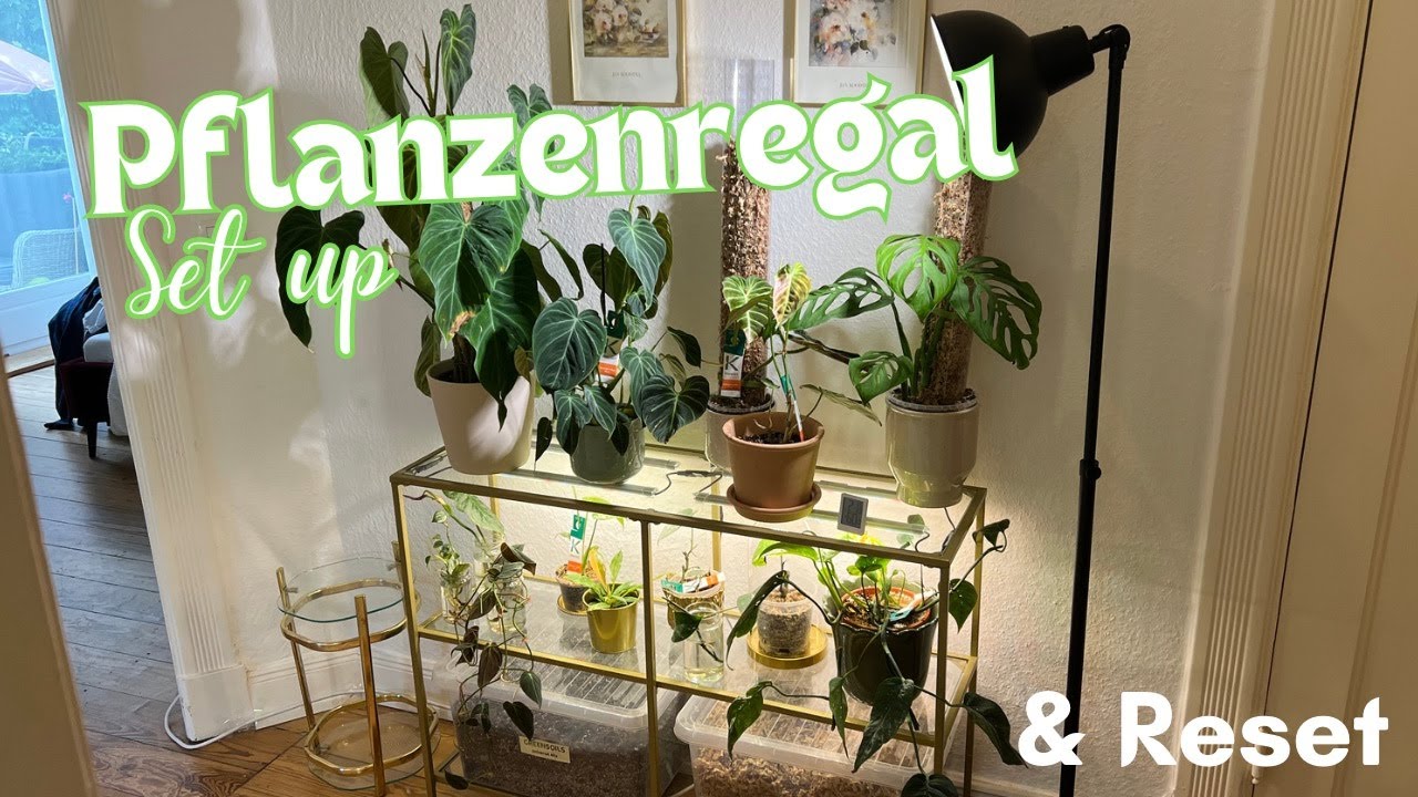 NEUES PFLANZEN REGAL SET UP 🪴 & Zubehör Reset ✨