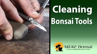 86) Bonsai Tools for Beginners Basic Bonsai Tools Care and Cleaning Wealth