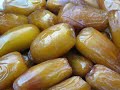ادرار نتي يا الغالية 360P