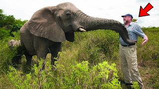 He Saved 7 "Killer" Elephants Everyone Wanted Dead — 13 Years Later, They Did The Unthinkable