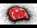 I Gave My Ant Colony Steak thumbnail