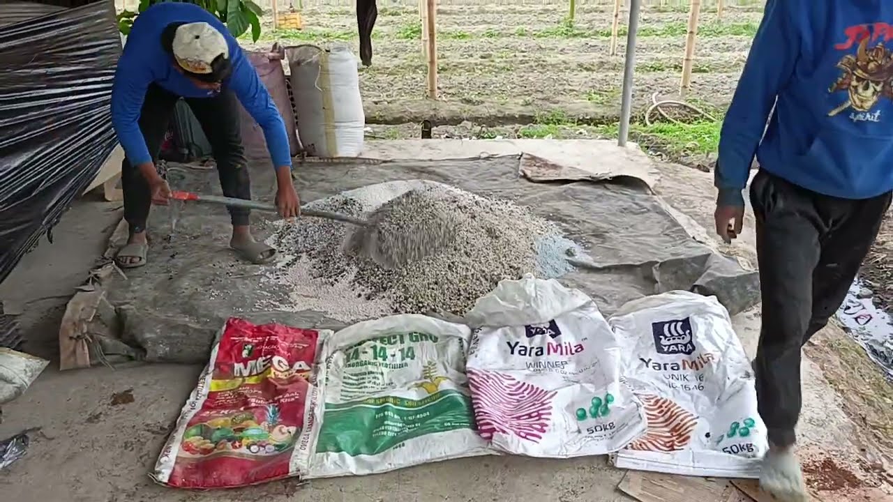 Ito ang mga magandang fertilizer na ginagamit ko sa may mga bunga na mga pananim 🌱