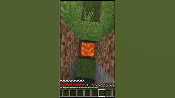 Minecraft But Its A Perfect Loop #shorts