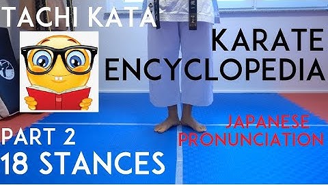 18 KARATE STANCES/TACHI KATA - japanese pronunciation included - karate encyclopedia PT 2 - TEAM KI