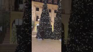 Christmas Trees on the Place Vendôme - Paris
