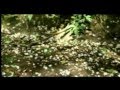 人生の贈り物 さだまさし 唄:maofa