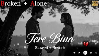 Tere Bina | Mind Relaxing Lofi Beats | Study, Sleep & Chill || Lofi Starline #sadsong screenshot 5