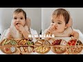 Easy baby led weaning meals  my babys favorite foods for breakfast lunch  dinner