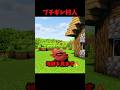 ゴーレムの作り方を間違えた村人 #マイクラ #short