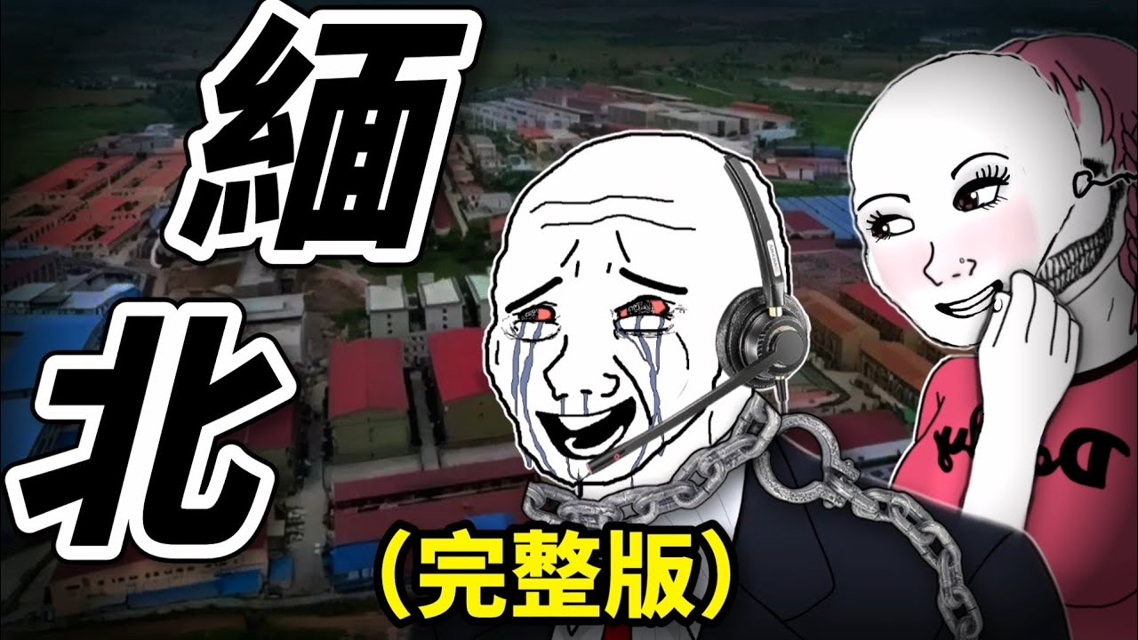 客服猴子的一生（完整版）| Wojak