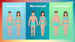 Minute Reponse Les Types De Morphologies
