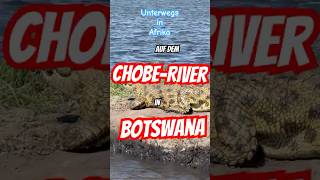 Unterwegs Auf Dem Chobe-River In Botswana