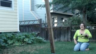 050.AVI