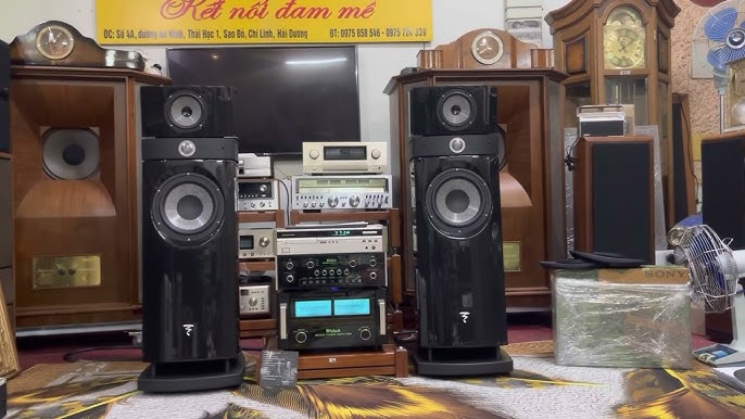 Test loa. FOCAL. Scala utopia evo. Bộ kéo đẩy. McIntosh c40+MC 500 ...