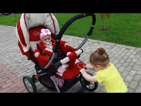 ანა ასეირნებს ნატალიკოს