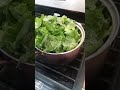Collards Step 3