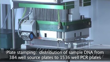 SNPline high throughput PCR workflow - LGC Genomics.mov
