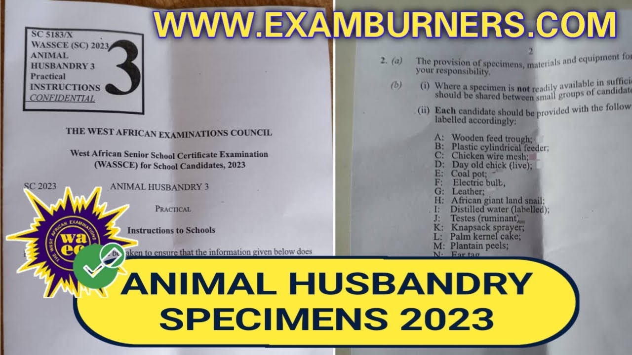 animal husbandry essay waec 2023