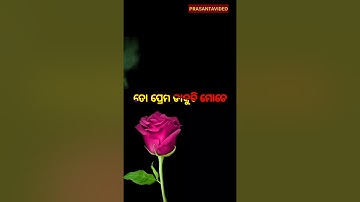 Paruni tate mu bhuli ta prema dakuchi mote Odia status videos songs 2020