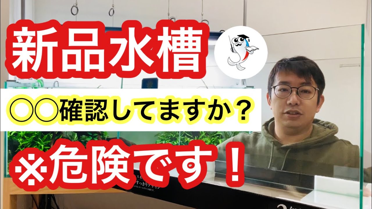 Must-check] What you must do when you buy a new aquarium - YouTube