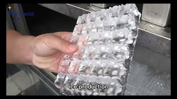 Icemedal Cube ice machine#icefactory #icemaker #drink