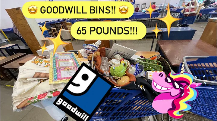 Let’s Go To Goodwill Bins! My Cart Was OverFlowing! I Bought 65 Pounds For Resale! Thrift with Me!
