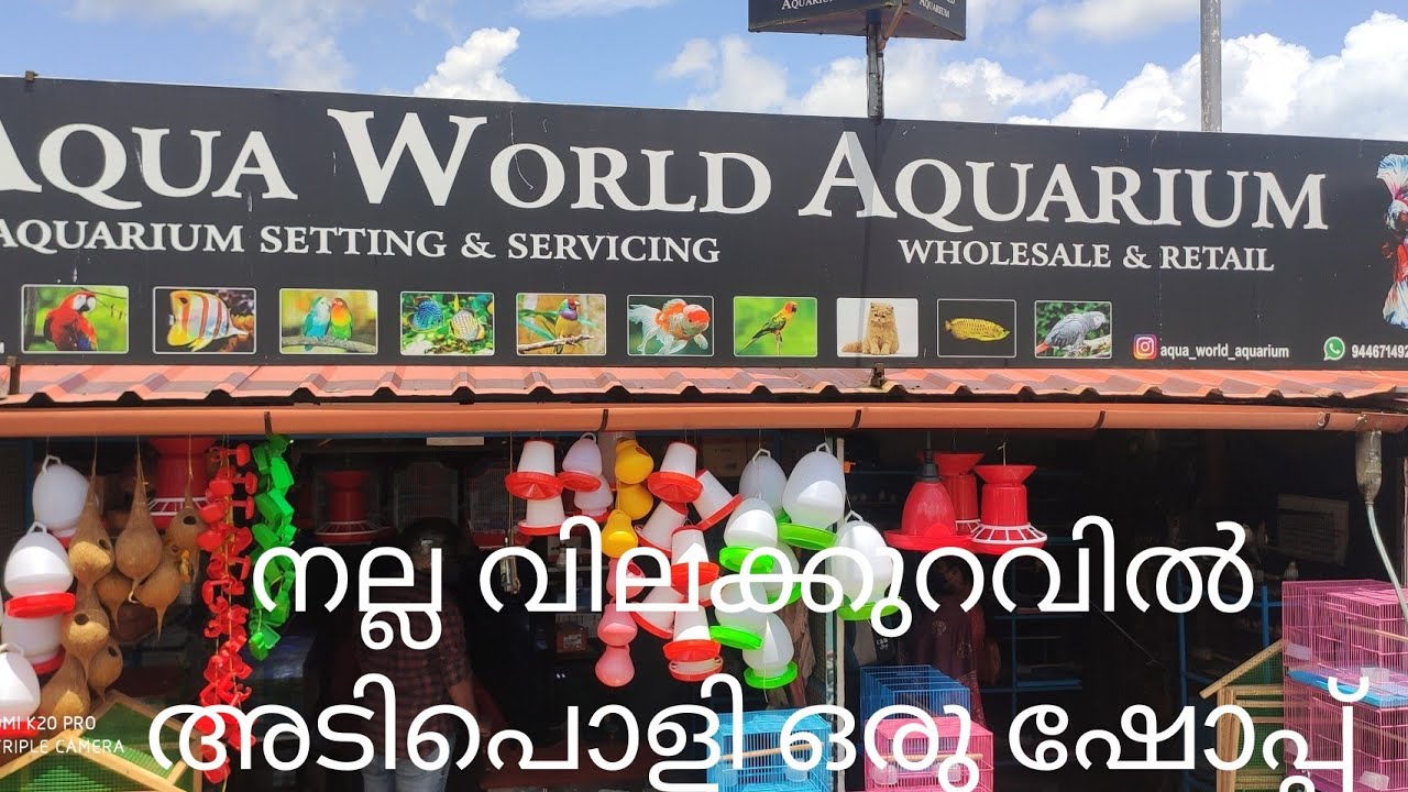 Pet Shop vlog Kottayam നല്ല വിലക്കുറവിൽ YouTube