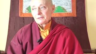 16th Karmapa on Bodhisattva Vow (Buddhism 101), Tenzin Palmo