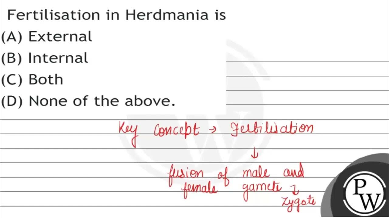 Fertilisation In Herdmania Is A External B Internal C Both D fertilisation-in-herdmania-is-a-external-b-internal-c-both-d