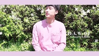 baw   raehwan  Shes A Baby Remix by Zico