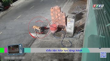 Bà con ơi cảnh giác 27-01-2025 | TayNinhTVEnt