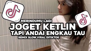 DJ TAPI ANDAI ENGKAU TAU - JOGET KETLIN VIRAL VELOCITY TIKTOK TERBARUU!!!